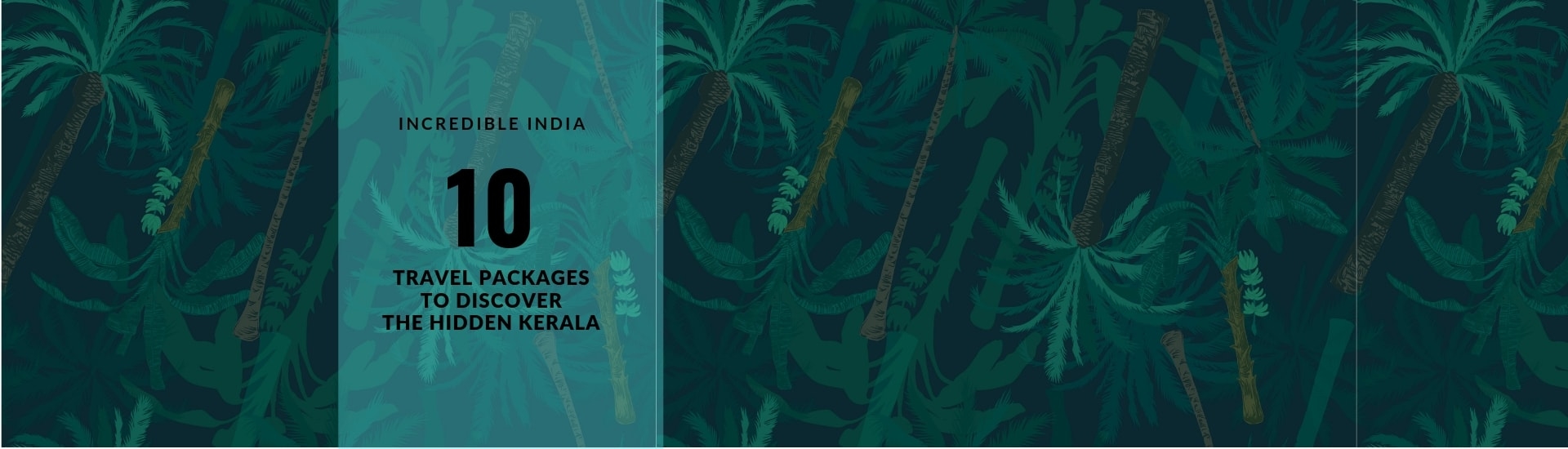 Kerala Holiday Travel Packages